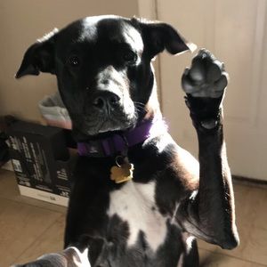 Meet your Posher, Brian